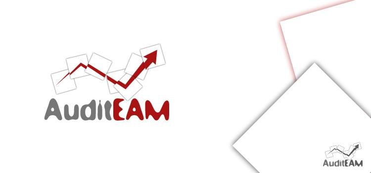 Audit TEAM - Contabilitate, consultanta fiscala, resurse umane si salarizare